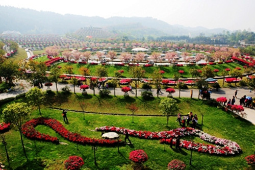 熊谷公司2019春游花舞人間梨花溪