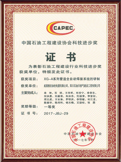 中石油科技進(jìn)步一等獎(jiǎng)